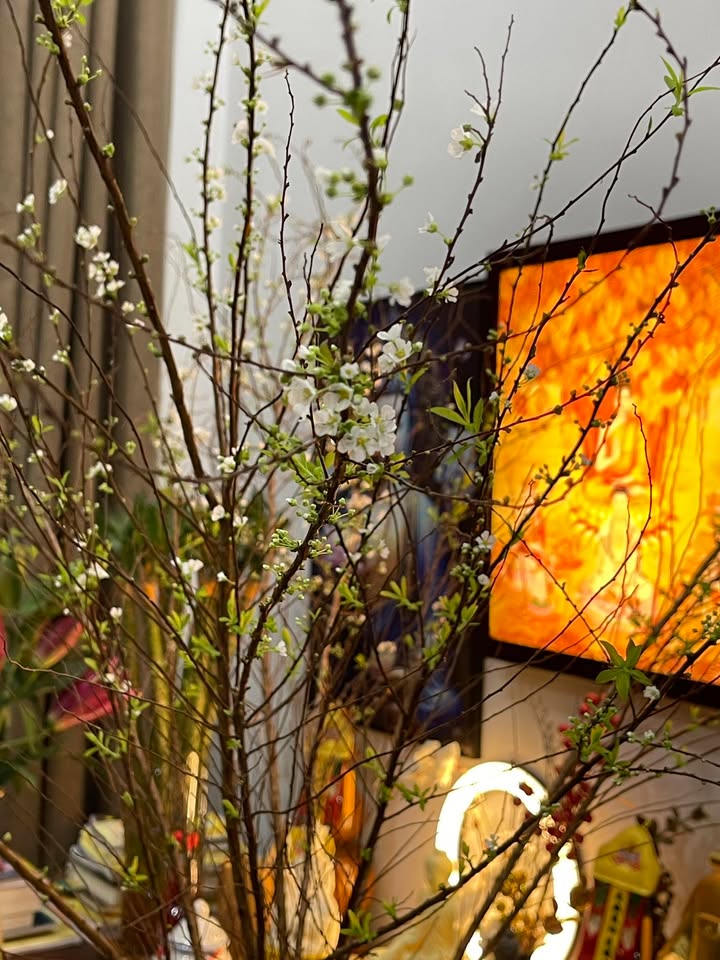 Đất nền Trục chính TĐC Danko, Thái Nguyên 100m² - Đầu tư sinh lời hiếm có!