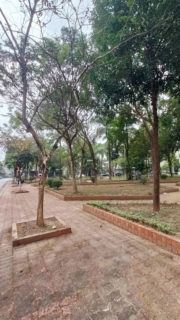 Nhà phố 3 tầng đường 3 ô tô tránh, TP Bắc Ninh, 81m² - Kinh doanh sầm uất!