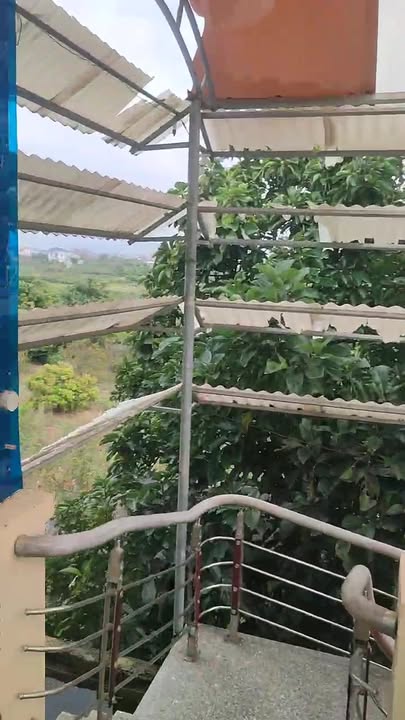 Nhà mặt tiền đường kinh doanh Lục Nam 1100m² giá 3 tỷ - Cơ hội đầu tư hấp dẫn!