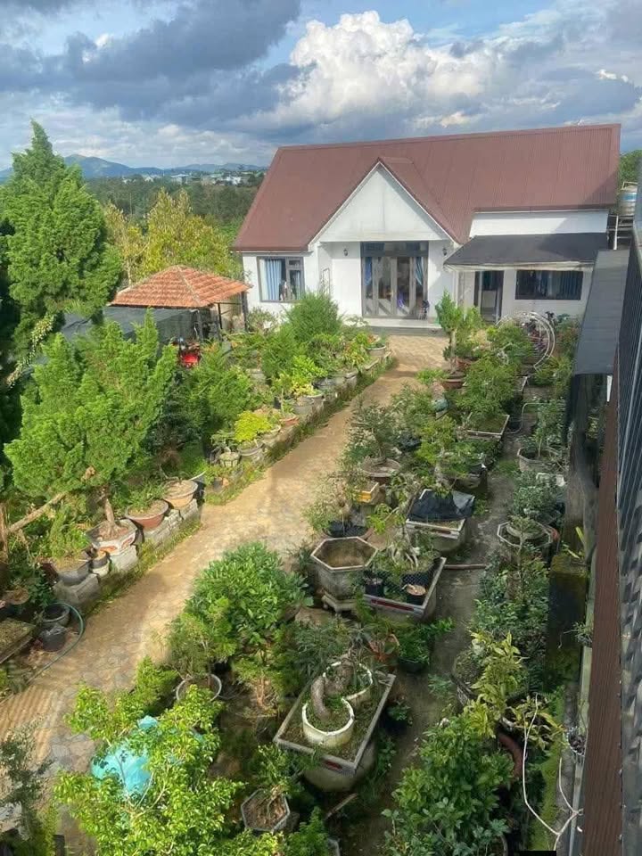 Đất nông nghiệp Hẻm 293 Hùng Vương, Bảo Lâm 532m² giá 2 tỷ - Cần bán gấp!