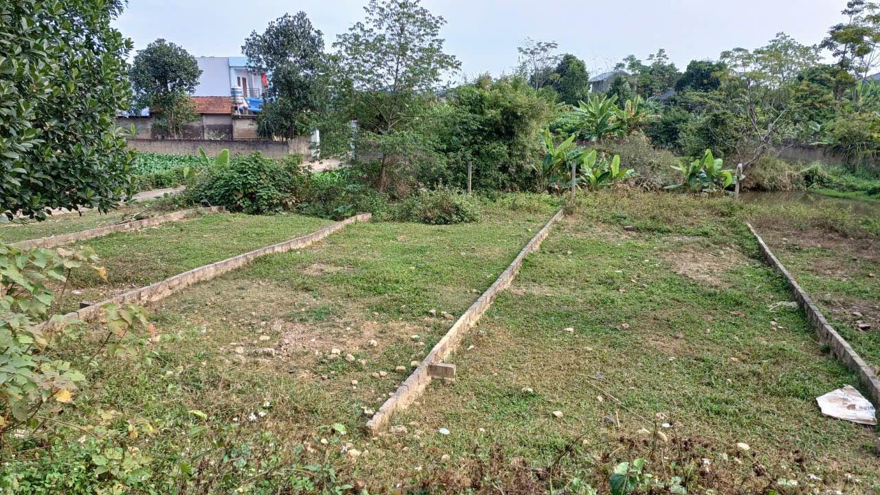 Đất thổ cư Làng Đào, Gia Sàng 221m² giá 495 triệu - Cơ hội đầu tư tốt!