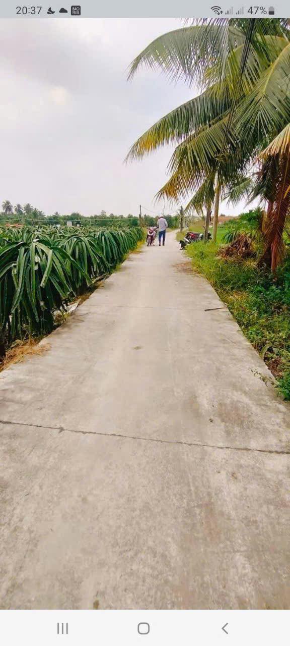 Đất nền An Vĩnh Ngãi 1.000m² giá 1,68 tỷ - Đường ô tô tới đất