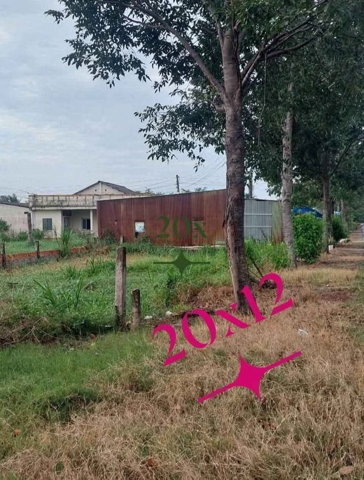 Đất lúa mặt tiền đường Phạm Văn Ngô, Tân Khánh, 216m² - Giá chỉ 1.2 tỷ!