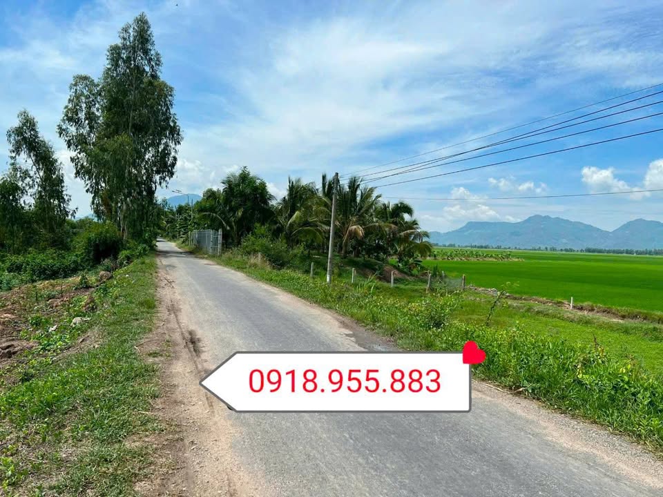 Đất nền An Nông, Tịnh Biên 174m² giá 340 triệu - Cơ hội đầu tư tuyệt vời!