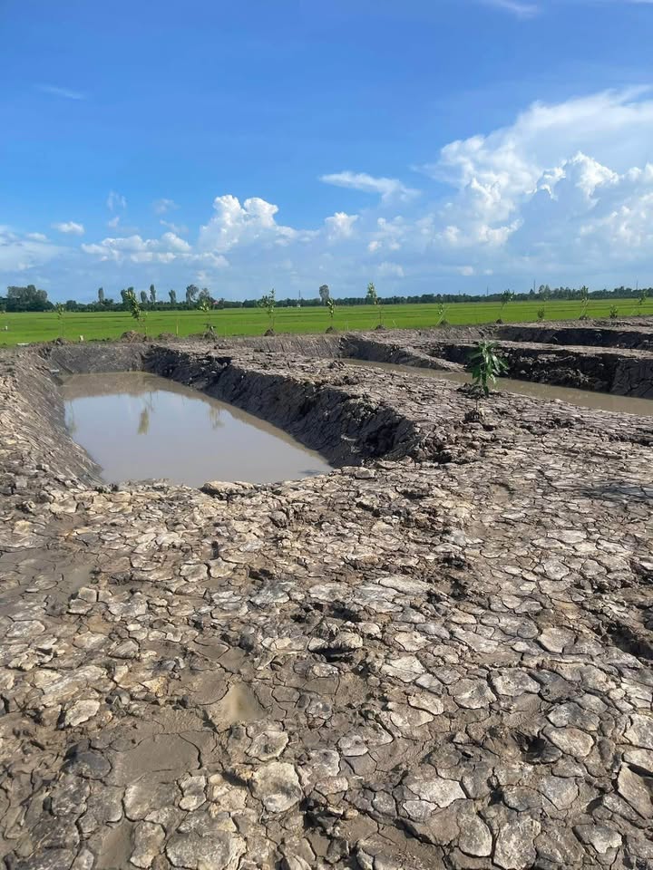 Đất vườn 496m² tại Châu Đốc giá 350 triệu - Chốn bình yên đáng sống!