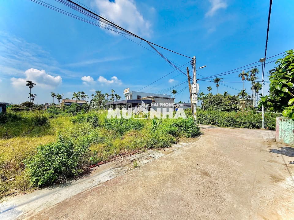 Lô đất thổ cư góc 60m² giá thỏa thuận - Ô tô đỗ cửa tại An Dương