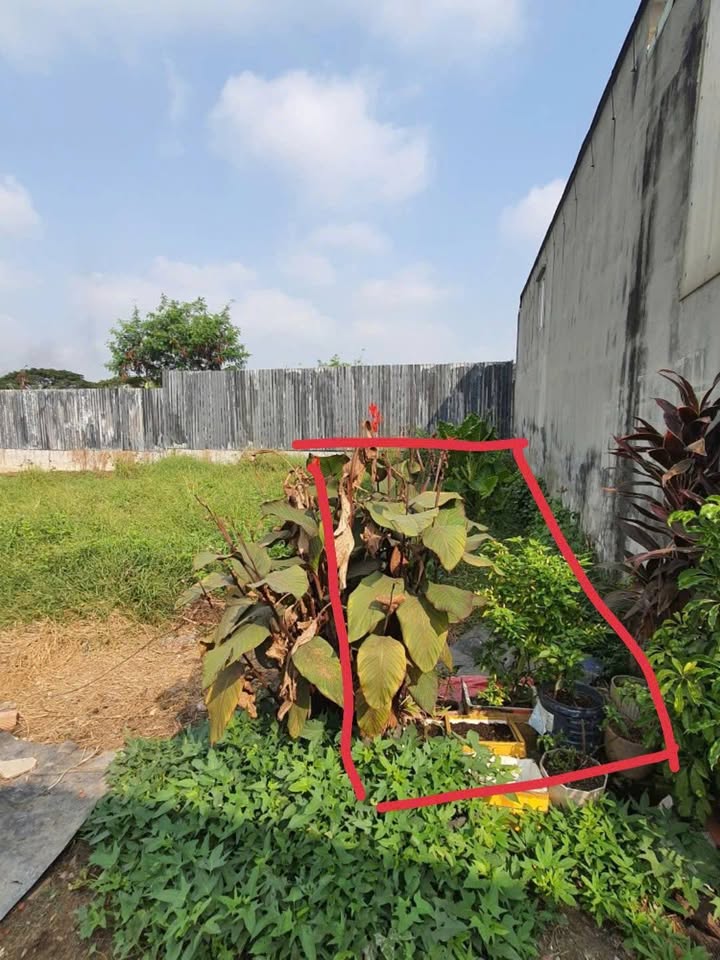 Đất nền 64m² tại xã Vĩnh Lộc B, Bình Chánh - Giá chỉ 700 triệu - Đầu tư sinh lời!