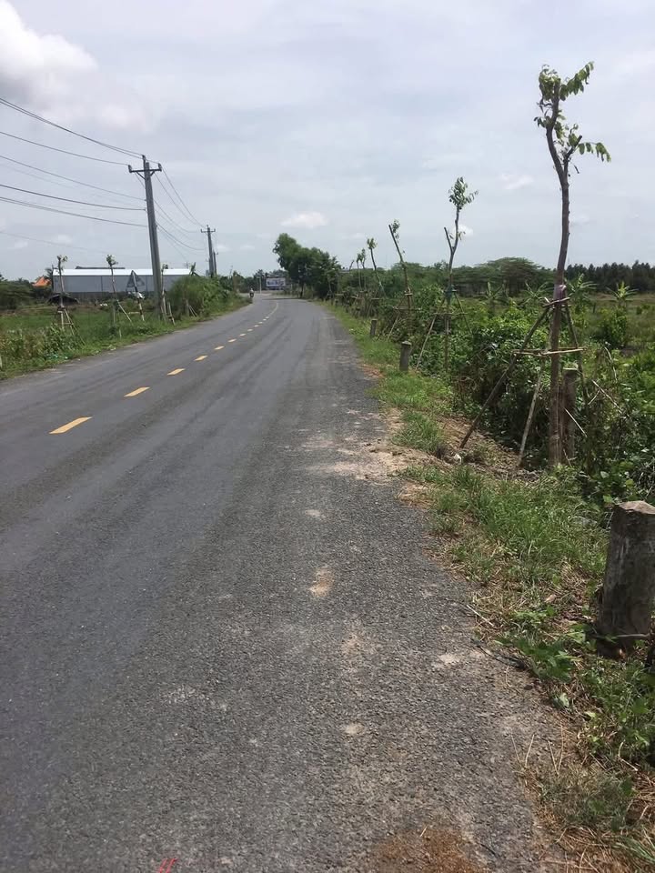 Đất nền 2500m² mặt tiền Tuyến Tránh 868b, Cai Lậy - Giá 10.5 tỷ hấp dẫn!