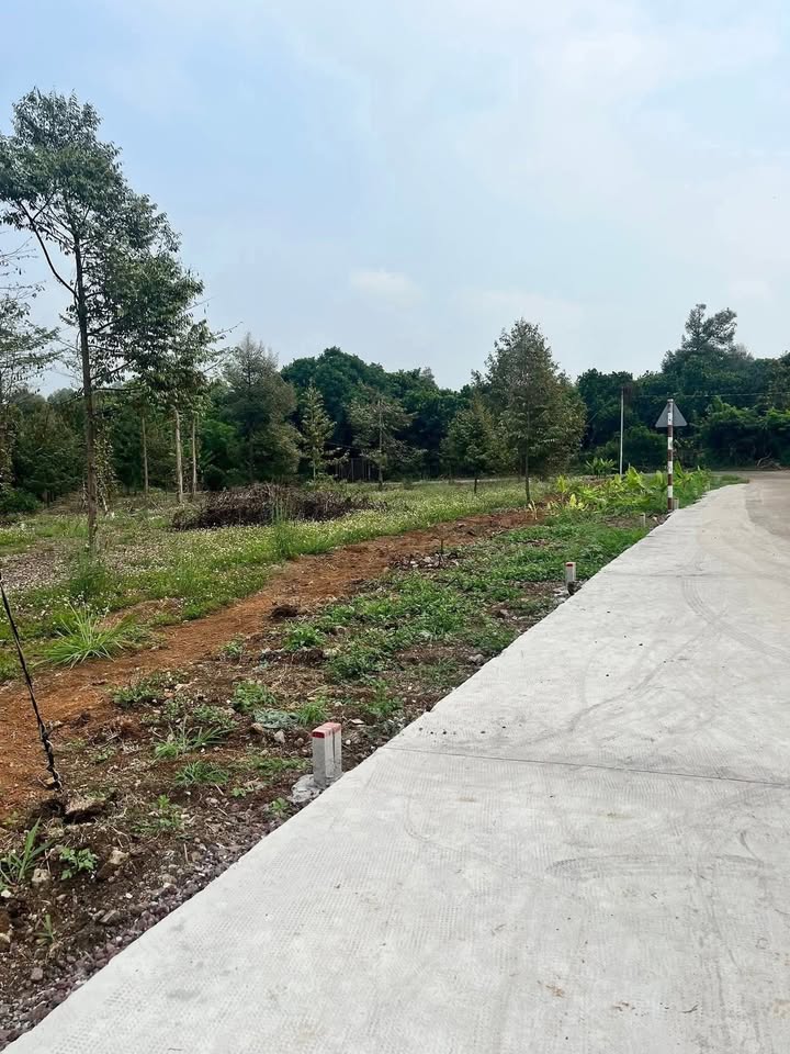 Đất thổ cư 125m² tại Bình Lộc, giá 690 triệu - Sổ đỏ chính chủ