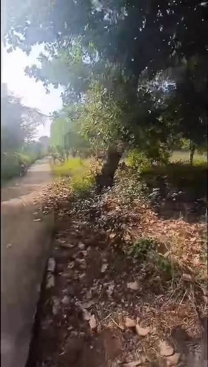 Đất nền Lộc Điền 1248m² giá 700 triệu - Sổ đỏ chính chủ, thương lượng tốt!