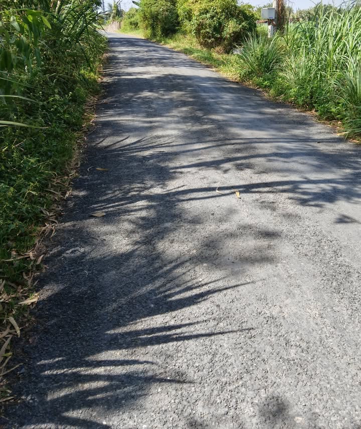 Đất nền 2000m² tại Phước Trung, Gò Công Đông - Giá chỉ 700 triệu VND!