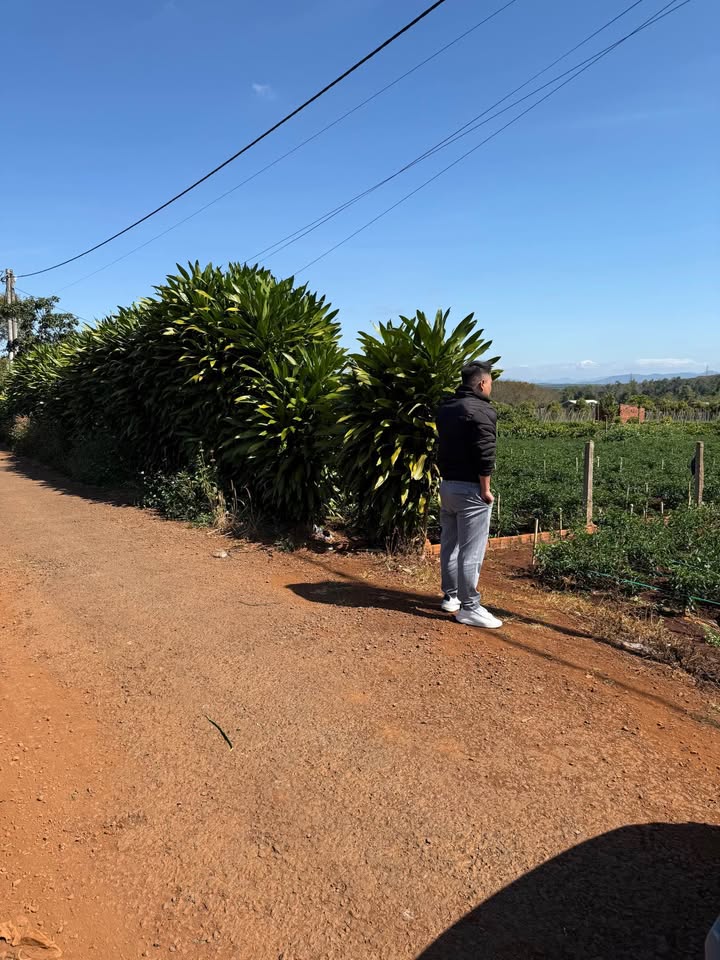 Đất nền mặt tiền Tăng Bạt Hổ, Đak Đoa 240m² - Cơ hội đầu tư tuyệt vời!