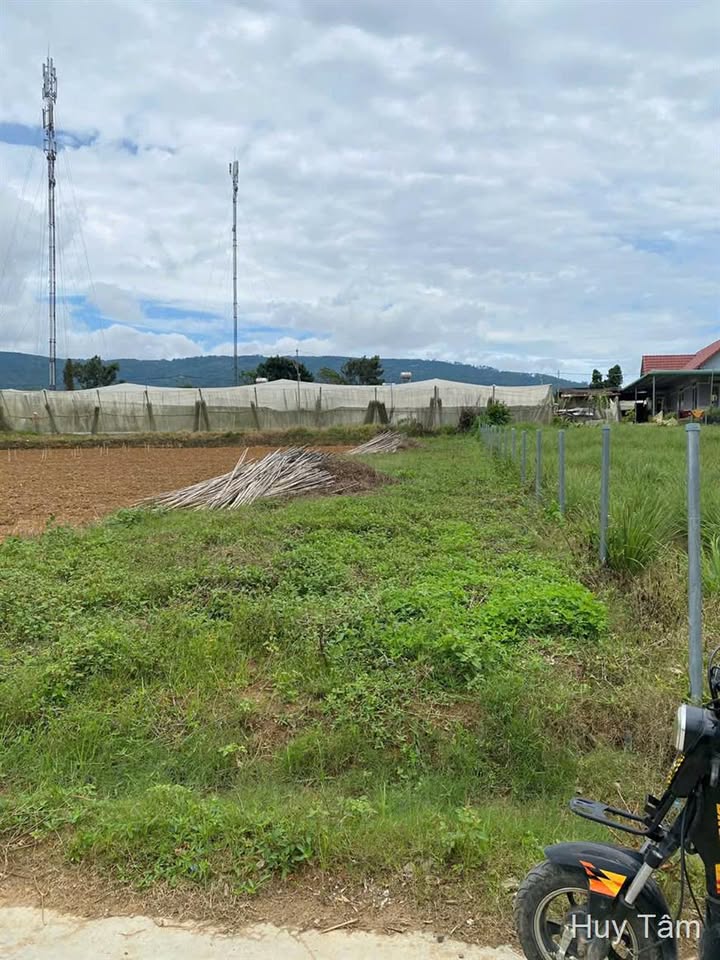 Đất nền xã Lạc Xuân, huyện Đơn Dương 287m² giá 850 triệu - Không gian yên bình lý tưởng!