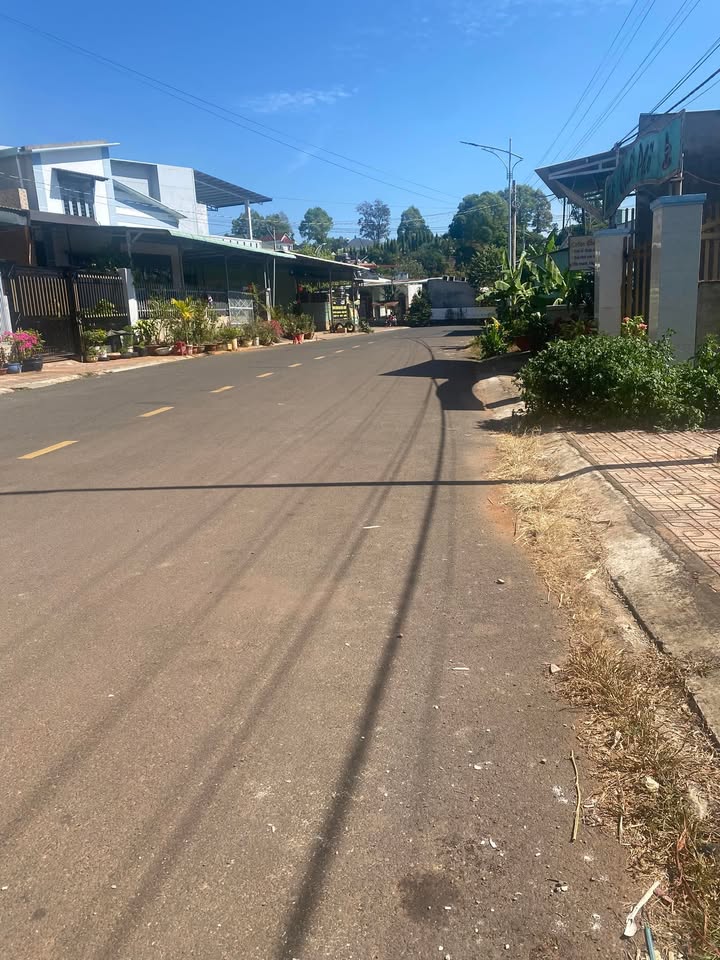 Đất mặt tiền đường Thanh Niên, xã Long Phước, 500m², giá 1.7 tỷ - Cơ hội đầu tư tuyệt vời!