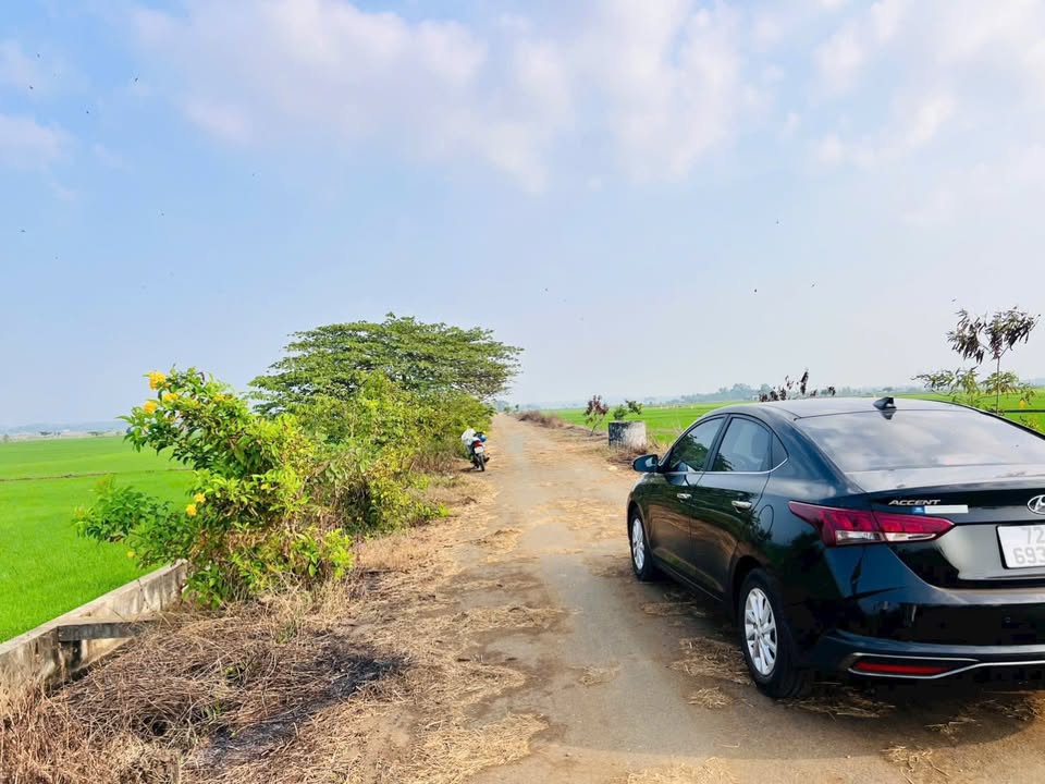 Đất nông nghiệp 6.300m² tại Bà Rịa - Giá chỉ 3 tỷ, cơ hội đầu tư tuyệt vời!