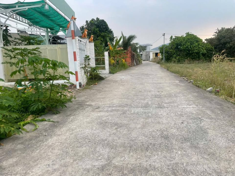 Đất nền Phường Hắc Dịch, TP Phú Mỹ 135m² giá 1.25 tỷ - Cơ hội đầu tư tuyệt vời!