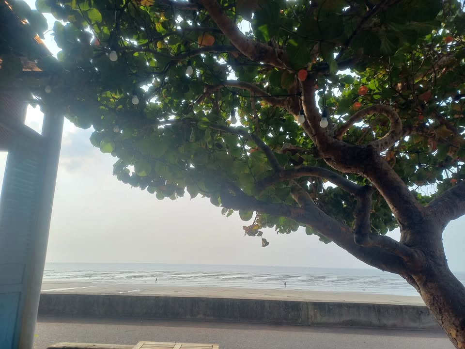 Đất thổ cư Long Hải 146m² giá 2.1 tỷ - Đường ô tô né nhau, cách biển 5 phút!