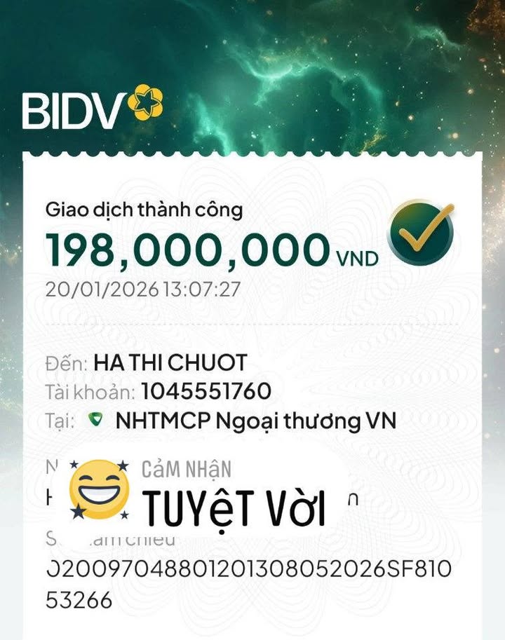 Đất nền chính chủ 13.000m² tại Hiệp Mỹ Tây - Cơ hội đầu tư sinh lời!