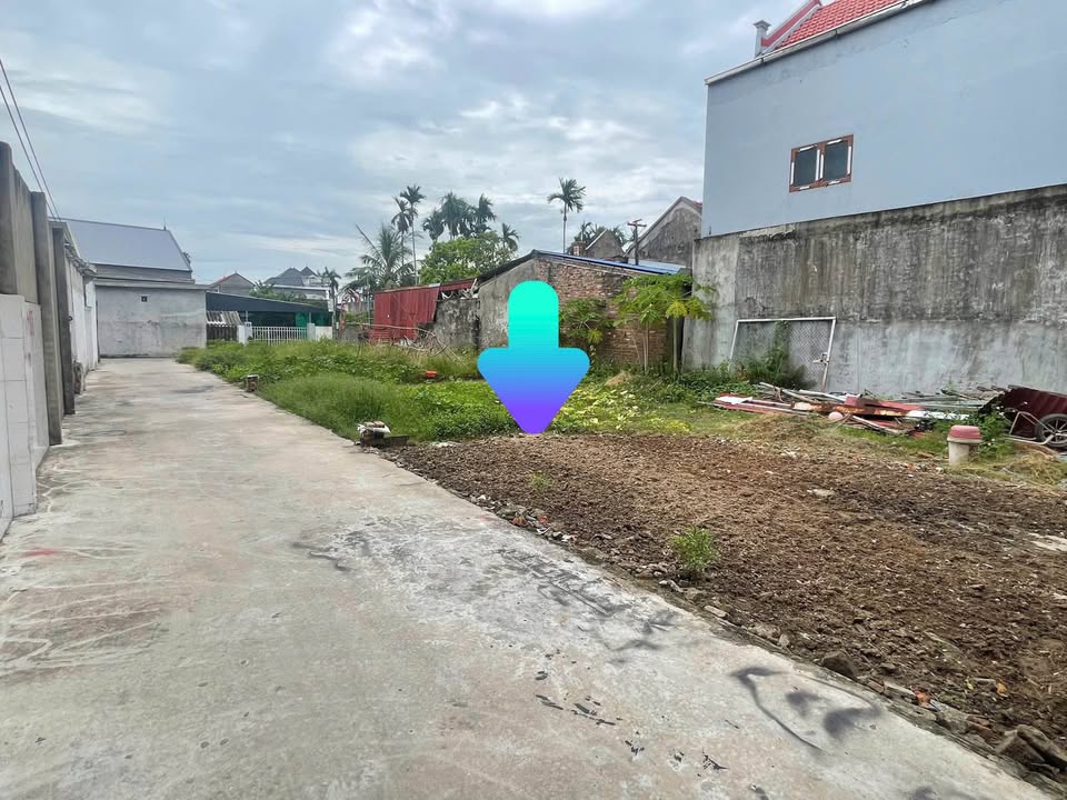 Lô đất 60m² TDP Nhu Kiều - P. An Dương giá chỉ 900 triệu - Tiềm năng đầu tư lớn!