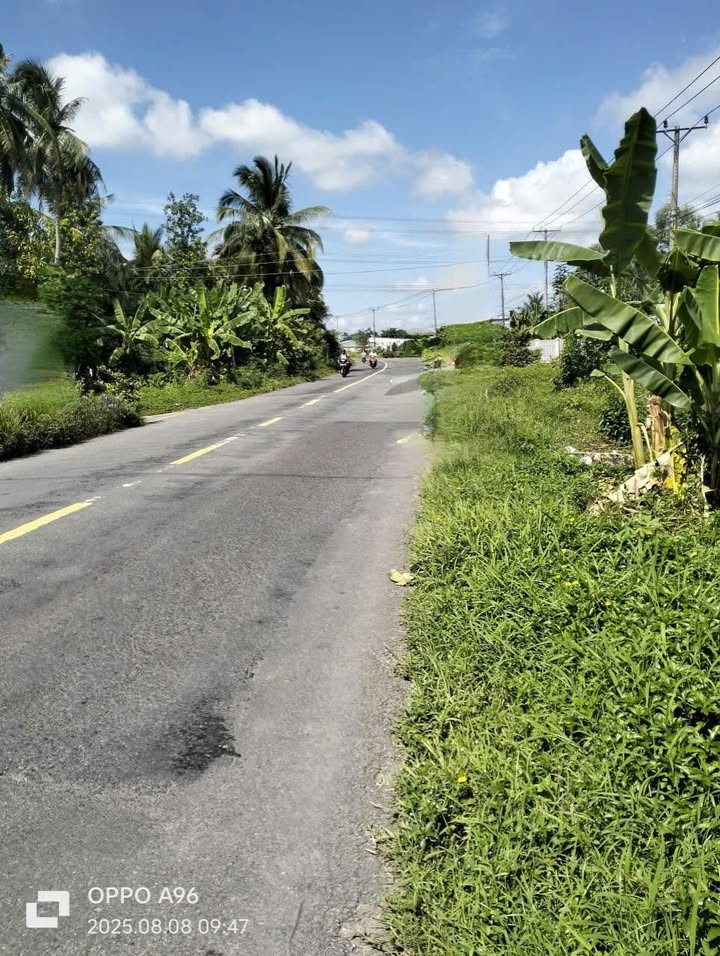 Đất nền mặt tiền QL60 Trường Khánh 360m² giá 680 triệu - Cơ hội đầu tư sinh lời!