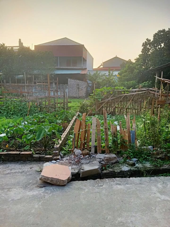 Đất nền 95m² Vân Dương, Mỹ Hào, Hưng Yên - Phong thủy tốt, giá 1 tỷ