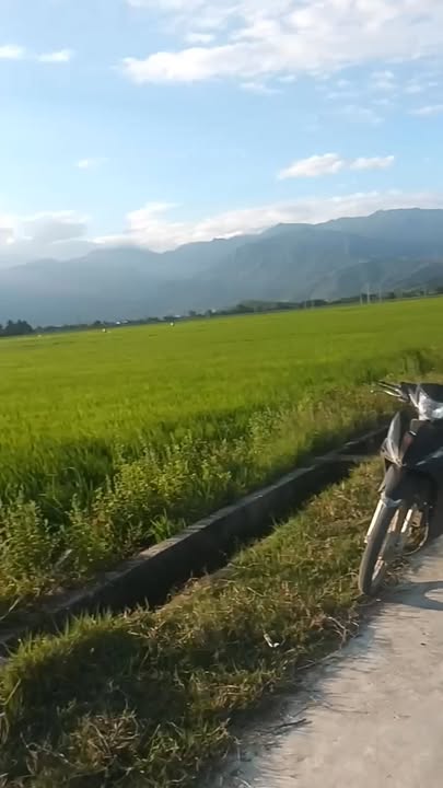 Đất nền mặt tiền đường bê tông Ninh Thượng - Ninh Hoà 2937m² giá 8.056 tỷ - Cơ hội đầu tư tuyệt vời!