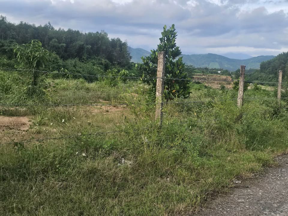 Đất vườn Diên Tân 1000m² giá 450 triệu - Sổ hồng chính chủ