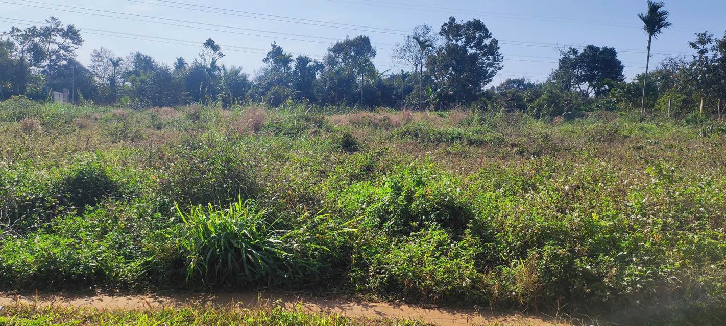 Đất nền 145m² tại Cuor Đăng, Đắk Lắk - Giá chỉ 575 triệu - Đối diện Ủy ban xã!