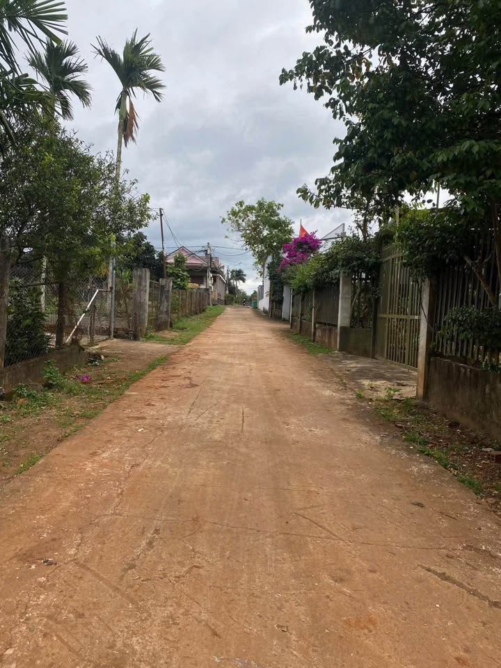 Đất nền Hòa Thắng, Buôn Ma Thuột 340m² giá 1.4 tỷ - Đầu tư sinh lời ngay!