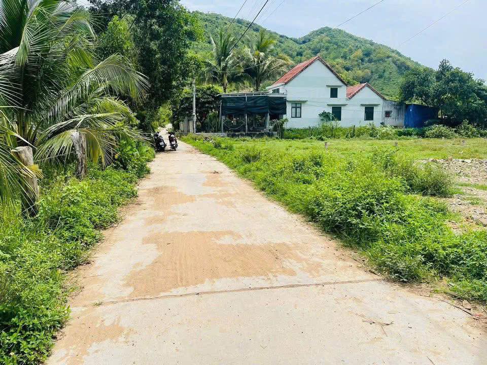 Đất Ffun thổ cư 98m² giá 300 triệu - Chính chủ cần bán gấp!