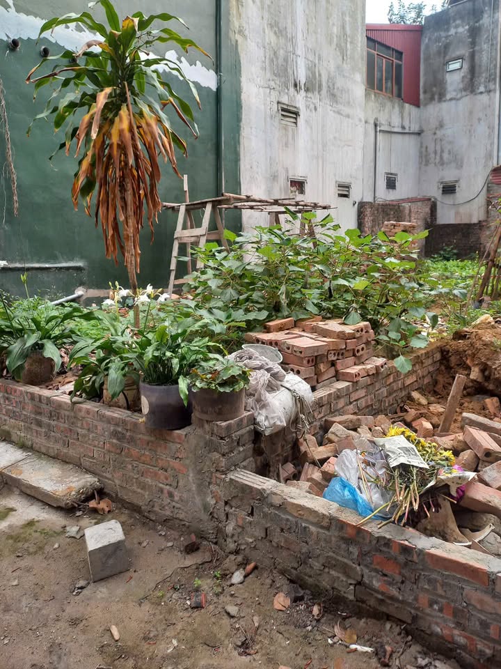 Nhà riêng Cổ Loa Đông Anh 75m² giá 4.5 tỷ - Pháp lý rõ ràng, thương lượng tốt!