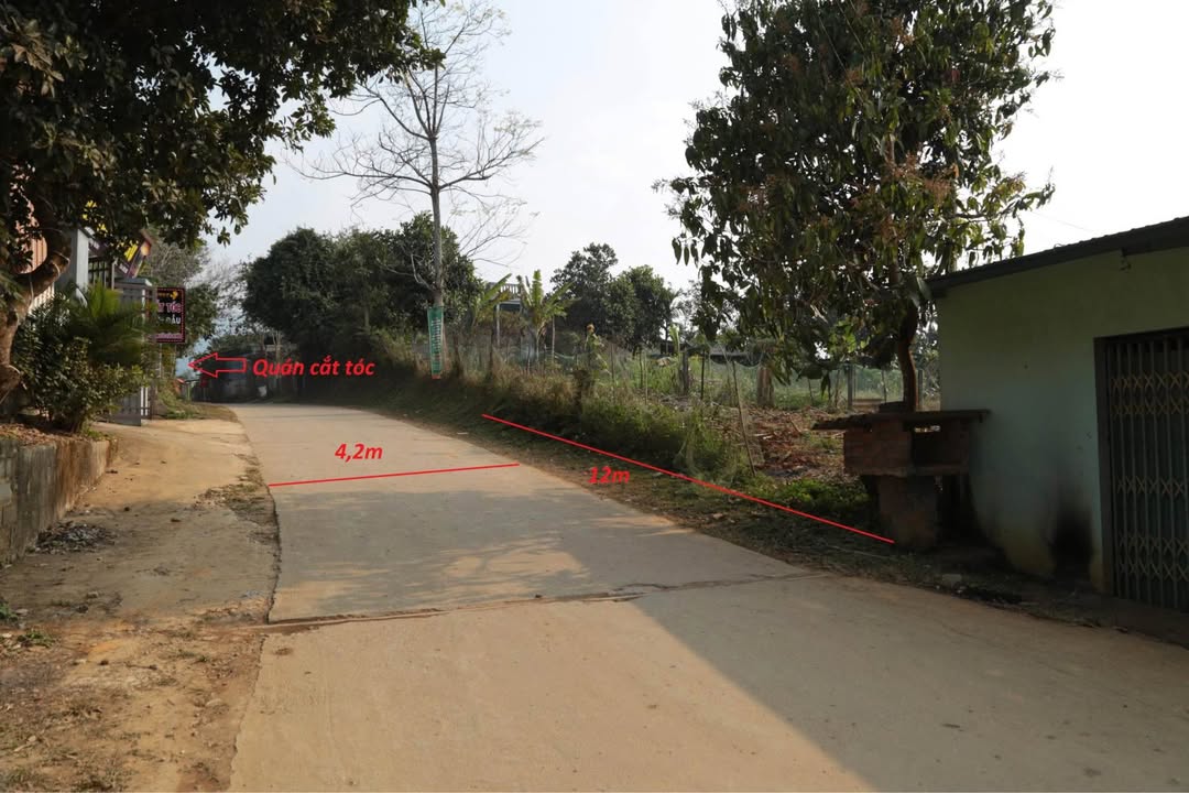 Lô đất trục chính liên xã Hợp Phong 619m² chỉ 800 triệu - Cơ hội đầu tư vàng!