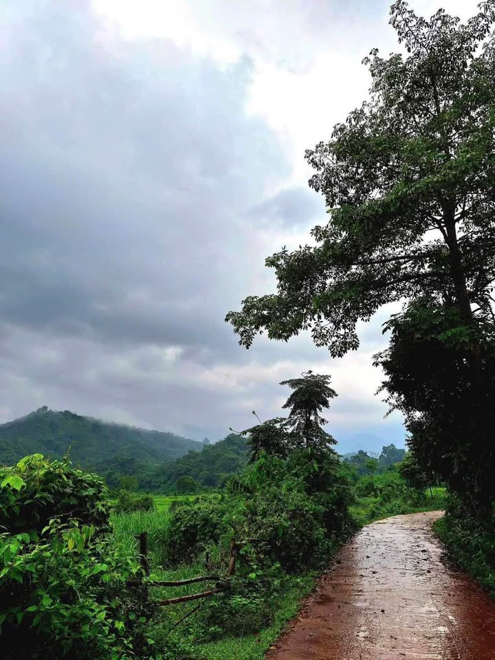 Đất thổ cư 308.2m² tại Xóm Tân Vinh, Hòa Bình - Bán gấp chỉ 300 triệu!