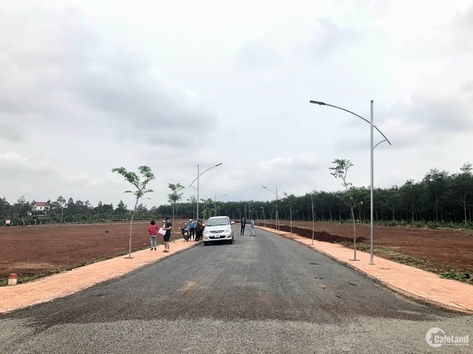 Đất mặt tiền đường nhựa 12m tại Chư Sê, Gia Lai - Giá chỉ 550 triệu!
