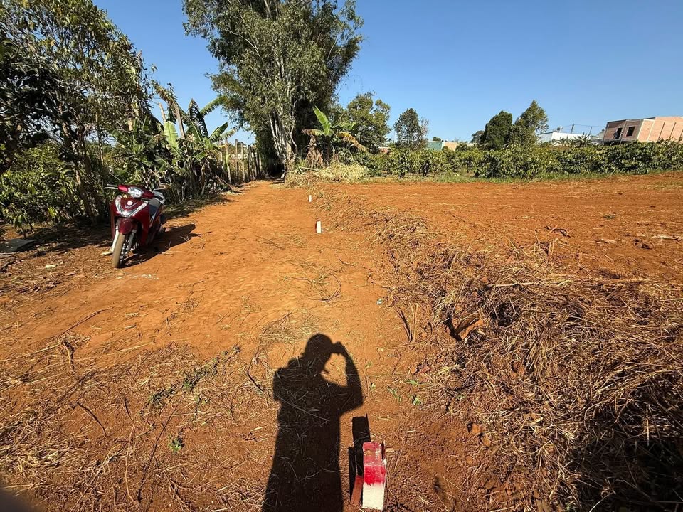 Đất nền 250m² Phường Hội Phú, Pleiku - Cơ hội đầu tư sinh lời!