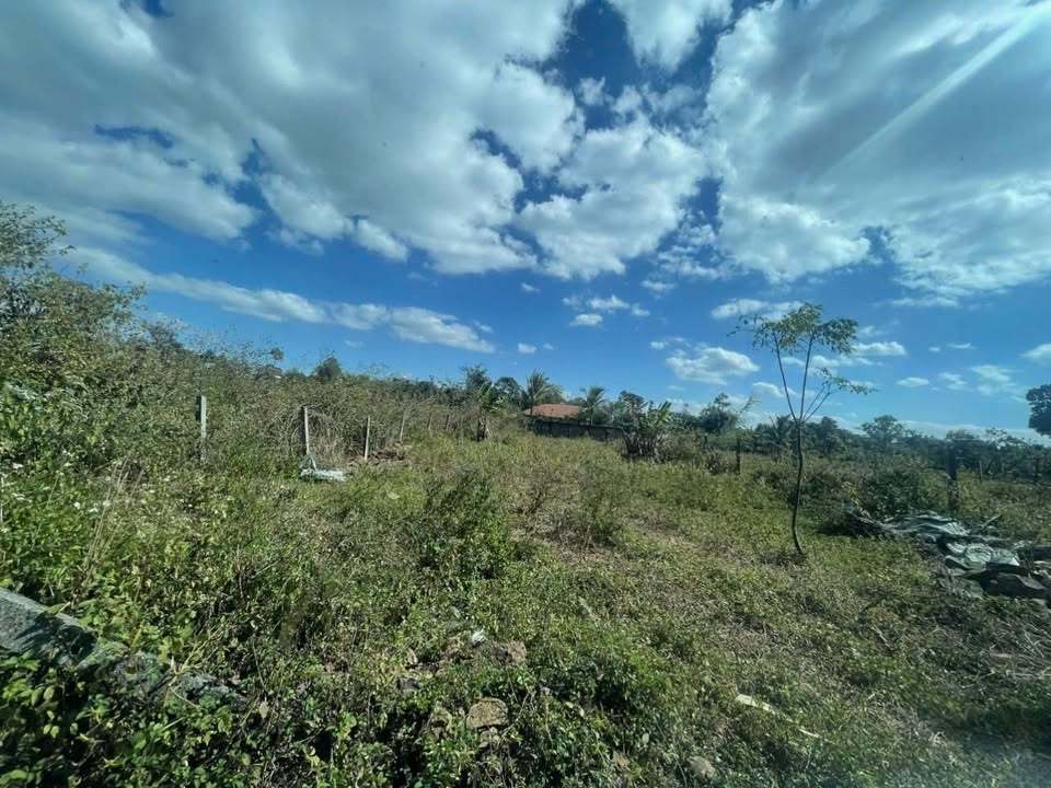 Đất nền tại Phường Thắng Lợi, Pleiku, Gia Lai - Diện tích 384m², Giá 800 triệu - Cơ hội đầu tư tuyệt vời!