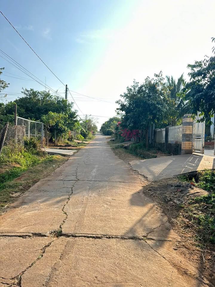 Nhà cấp 4 Thôn 4 Cư Êbur, 320m² giá 2.19 tỷ - Cơ hội đầu tư hấp dẫn!