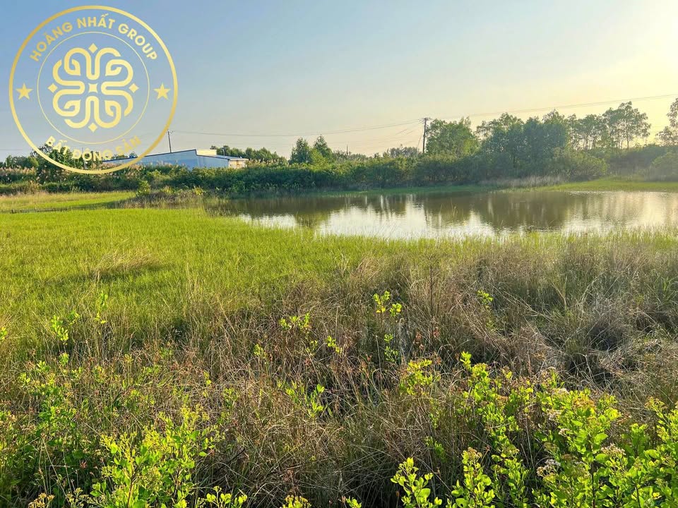 Đất vườn đẹp Khóm 2, Đầm Dơi, 428m² giá 550 triệu - Đầu tư lý tưởng!