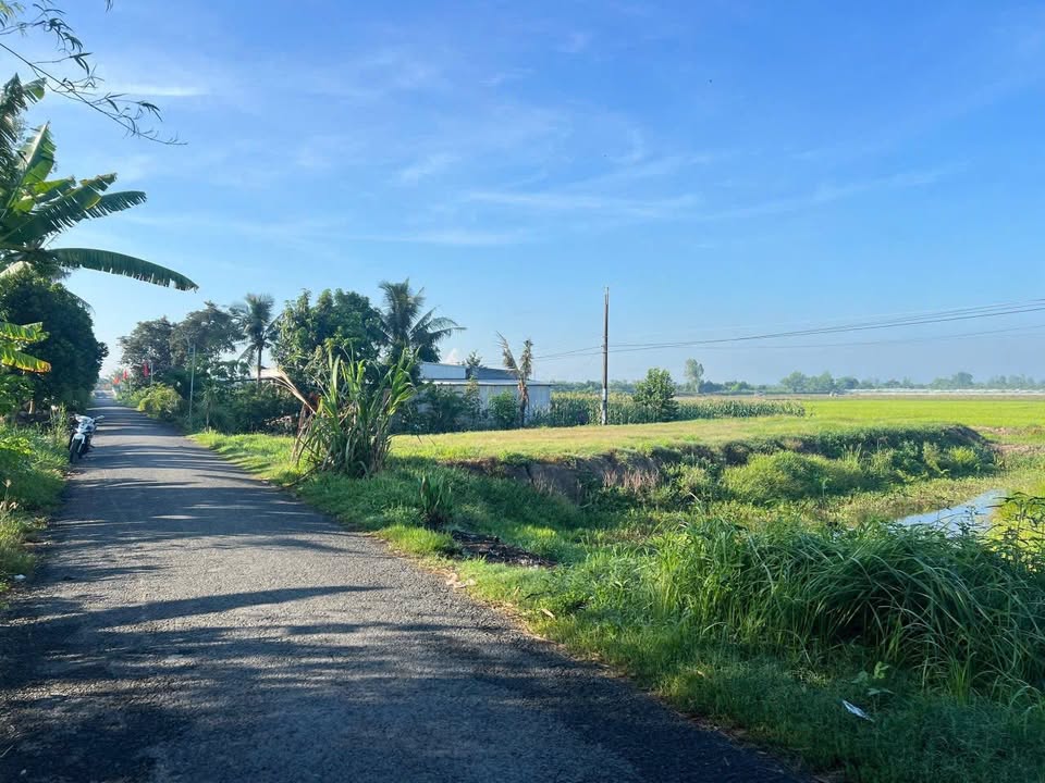 Đất nền 1265m² Tân An Thạnh, Vĩnh Long - Vị trí đẹp, pháp lý rõ ràng!