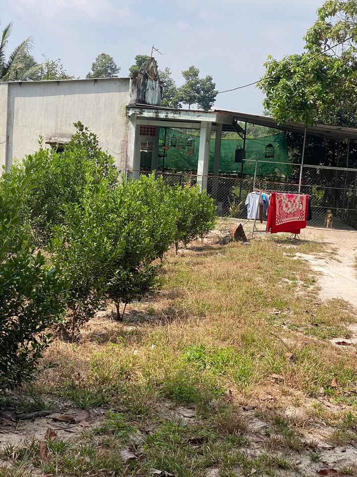 Đất Lộc An 2000m² giá 3 tỷ - Đầu tư sinh lời ngay!