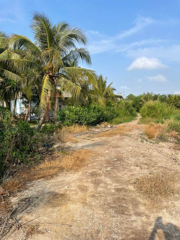 Đất nông nghiệp 18 công tại Rạch Giá, Kiên Giang - Đối diện khu công nghiệp Thạnh Lộc