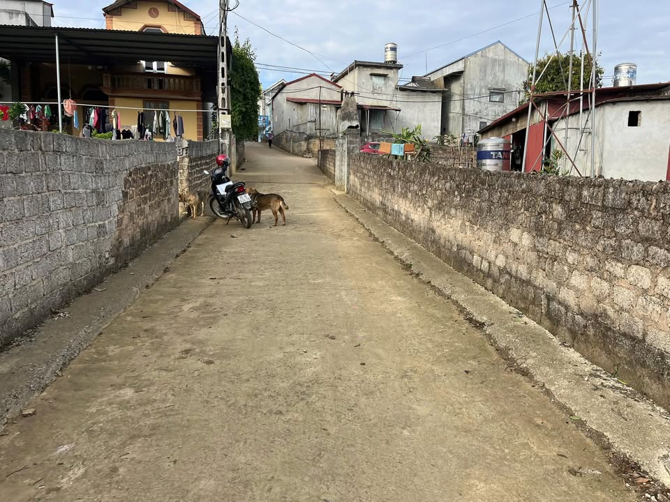 Đất nền Tổ Dân Phố 66, Mộc Châu 55m² giá 900 triệu - Cơ hội đầu tư tuyệt vời!