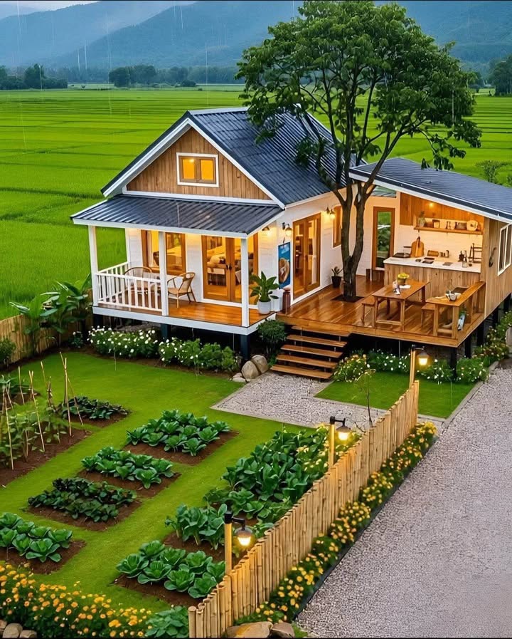 Đất thổ cư KP3, Thị trấn Hai Riêng, 192m² giá tốt - Cơ hội đầu tư tuyệt vời!