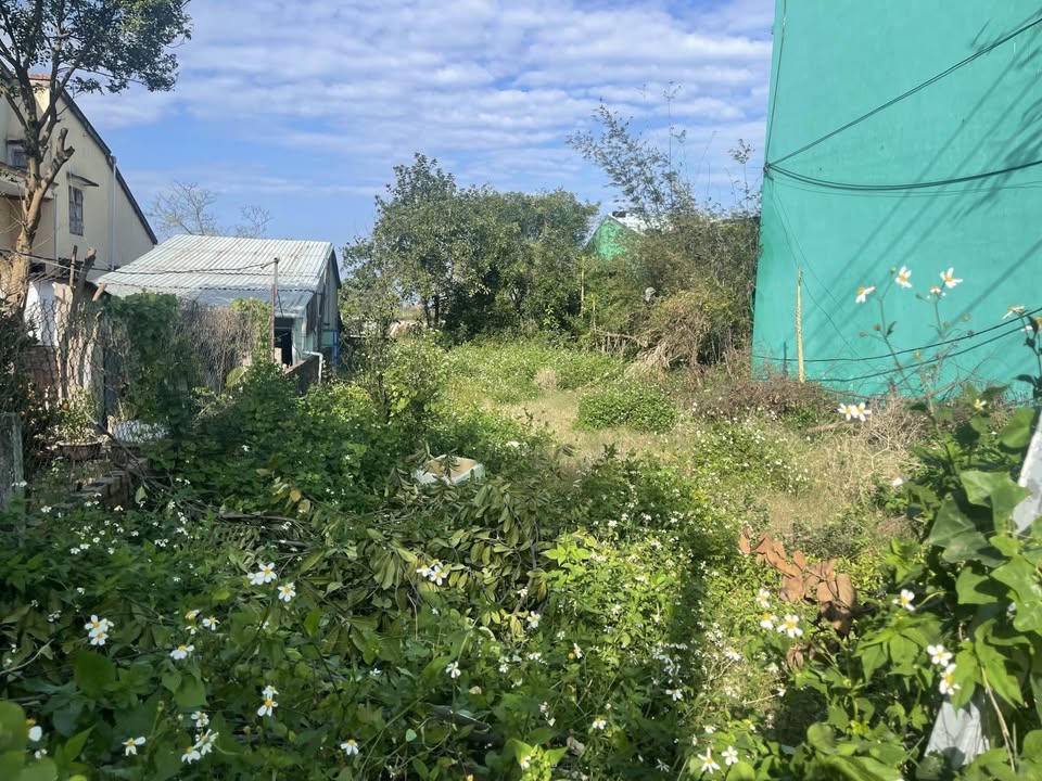 Đất FrontHouse đường Nguyễn Tất Thành Quận Thanh Khê 100m² giá 5.9 tỷ - Vị trí đắc địa cho đầu tư!