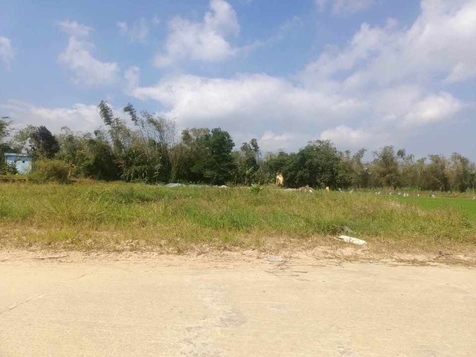 Đất nền Điện Nam Trung 100m² giá 1.1 tỷ - Cơ hội đầu tư tiềm năng!