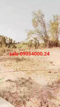 Lô vườn 1000m² giá 800 triệu - Địa điểm lý tưởng tại Đà Nẵng!