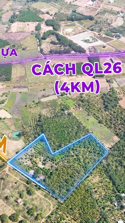 Farm 1,9ha tại Xã Ea Đar, Huyện Ea Kar - Đầu tư sinh lời với nguồn thu ổn định!