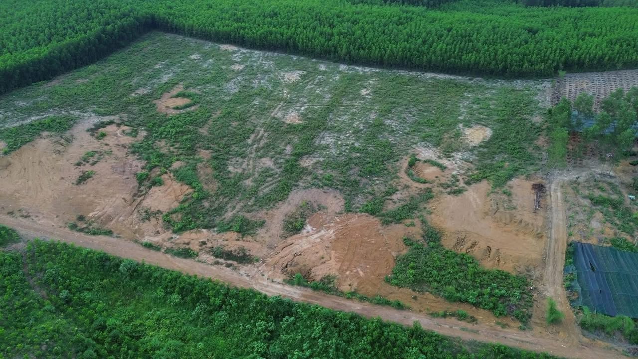 Đất vườn 95.000m² tại Hòa Phú, Đà Nẵng giá 25 tỷ - Tiềm năng phát triển cao!