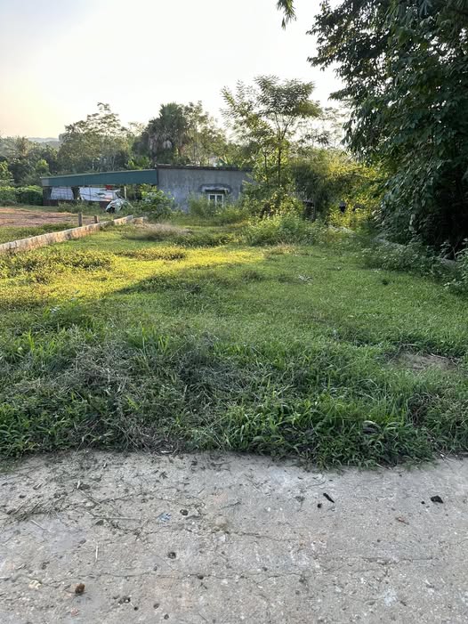 Đất thổ cư Lưỡng Vượng Tuyên Quang 530m² giá 1.95 tỷ - Đầu tư sinh lời ngay!