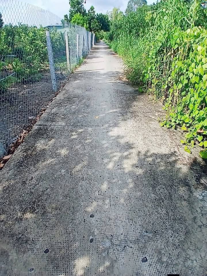 Đất nền 500m² Thái Hòa, Cái Bè giá chỉ 500 triệu - Cơ hội đầu tư hấp dẫn!